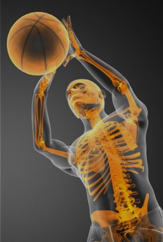 General Orthopaedics 
& Sports Medicine